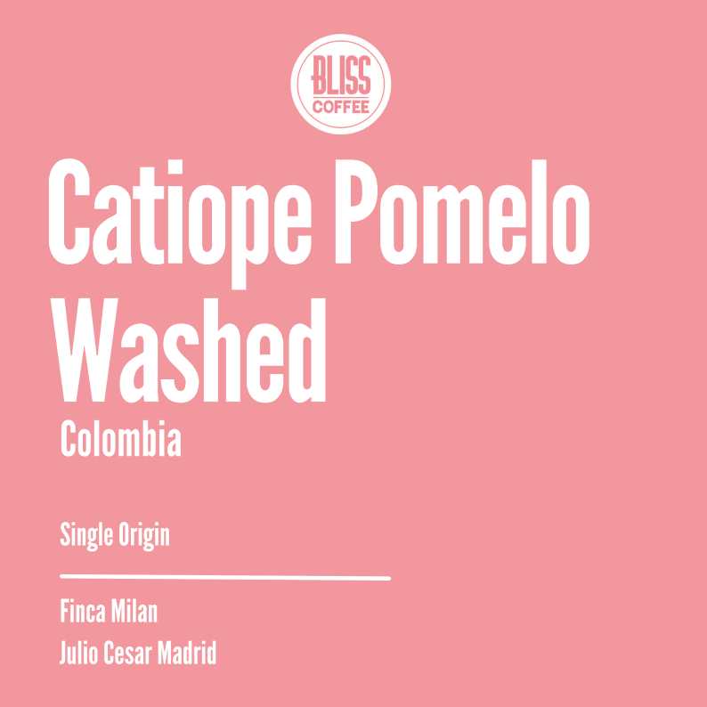 Catiope Pomelo Coffee Beans from Bliss Coffee